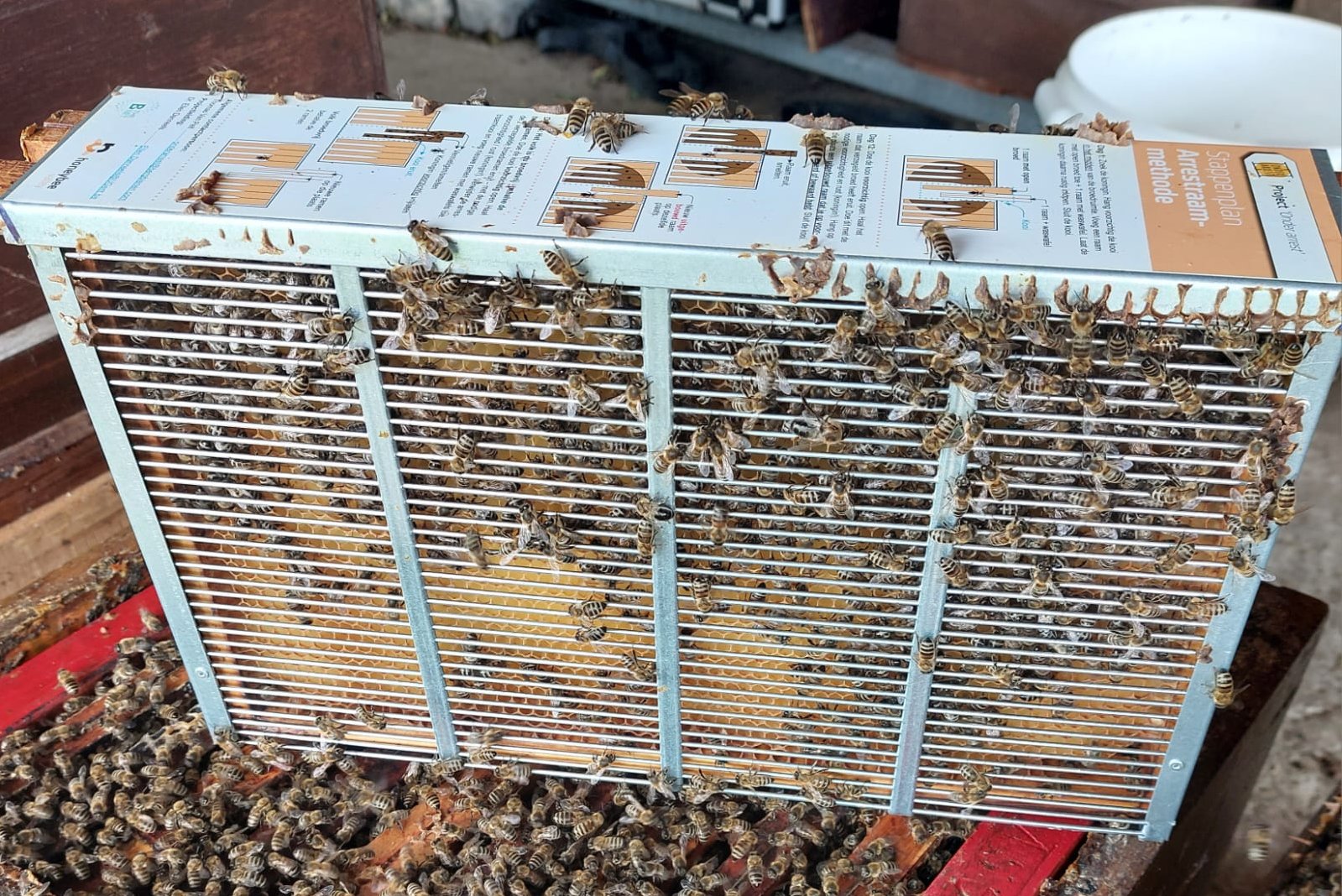 een gevulde gesloten ARK met broedramen en bijen