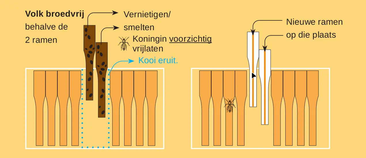 stap 3 schematisch