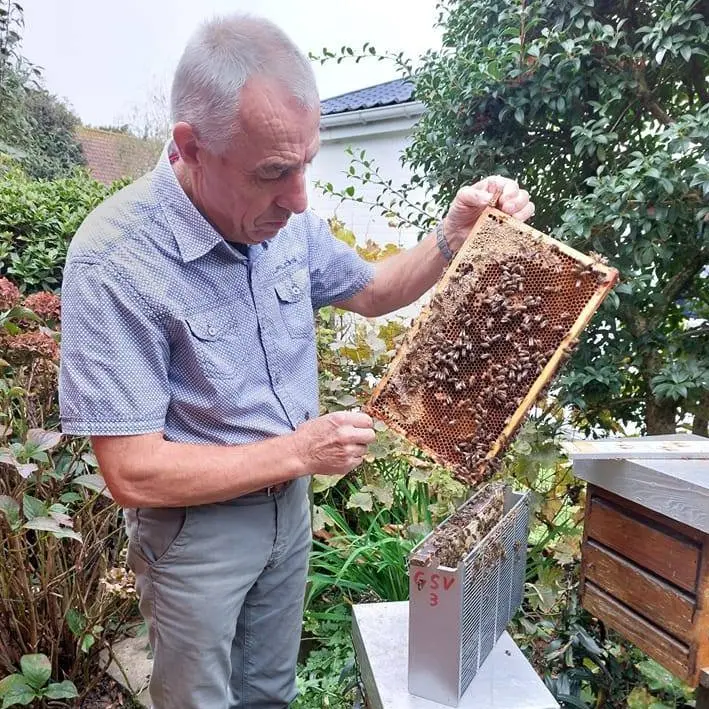 Guido inspecteert een broedraam